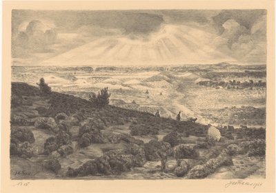 Heide bij Laren door Jan Fekkes (signed by artist)