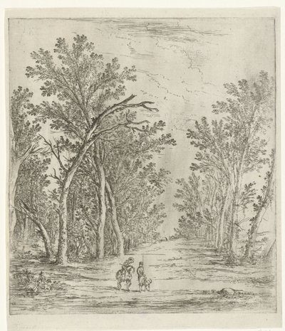 Bospad door Jan Fouceel