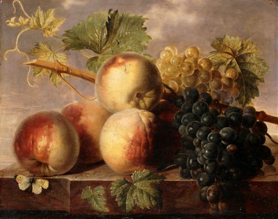Perziken en druiven met een koolwitje op een marmeren rand door Jan Frans van Dael