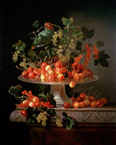 Een Stilleven van Kersen en Aalbessen met een Papegaai door Jan Frans van Son