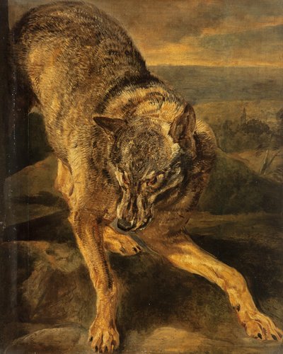 A wolf door Jan Fyt
