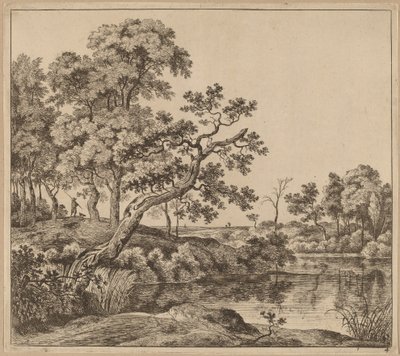 Landschap met een Gebogen Boom door Jan Hackaert