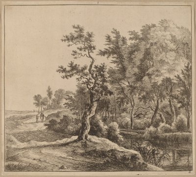 Landschap met een kronkelende weg door Jan Hackaert