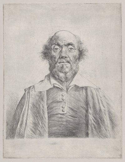  door Jan Lievens