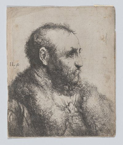 door Jan Lievens