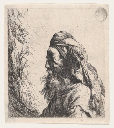  door Jan Lievens