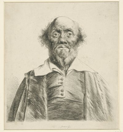  door Jan Lievens