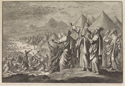 Kwartels in de woestijn door Jan Luyken