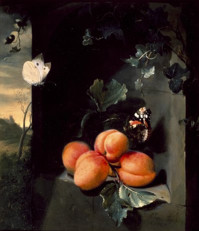 Stilleven met Abrikozen en Vlinders, 1683 door Jan Mortel