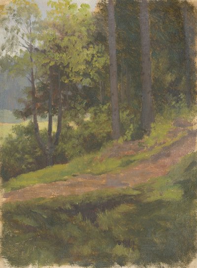 Pad aan de rand van het bos door Jan Nowopacký