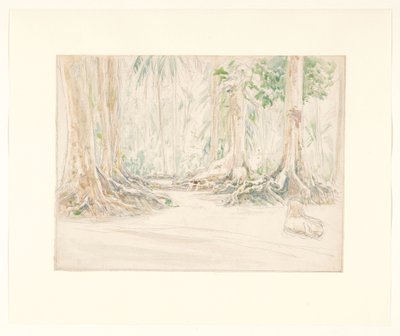  door Jan Veth