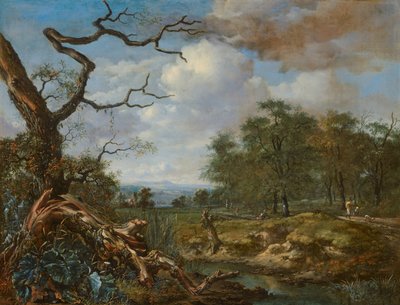  door Jan Wijnants