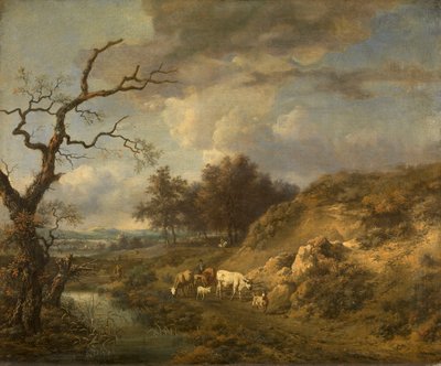  door Jan Wijnants