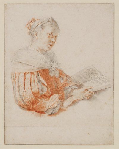  door Jan de Bray