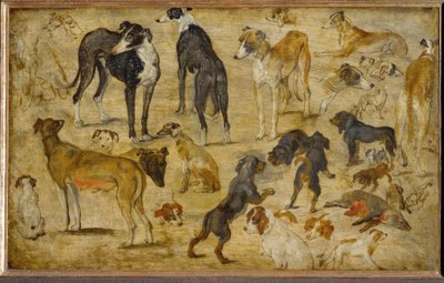 Dierstudies door Jan the Elder Brueghel
