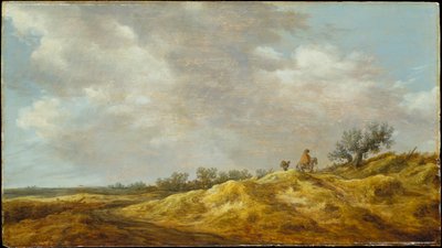  door Jan van Goyen