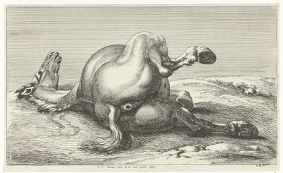Gesneuveld paard door Jan van Huchtenburg