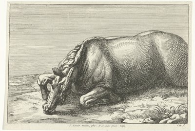 Gesneuveld paard op de linkerzij gezien door Jan van Huchtenburg