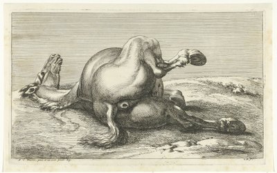 Gesneuveld paard van achter gezien door Jan van Huchtenburg