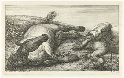 Twee gesneuvelde paarden waarvan de linker van voren gezien door Jan van Huchtenburg