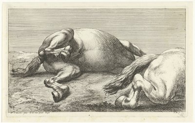 Twee gesneuvelde paarden waarvan de rechter van de zijkant gezien door Jan van Huchtenburg
