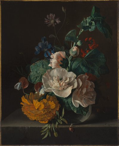 Bloemstilleven met stokroos en goudsbloem door Jan van Huysum