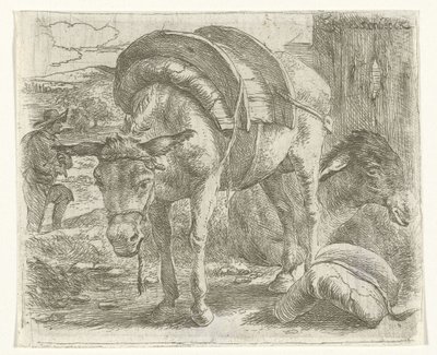 Pakezel door Jan van Ossenbeeck