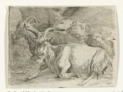 Twee geiten en twee schapen door Jan van Ossenbeeck