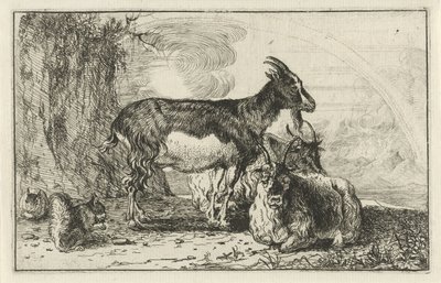 Geiten Dieren door Jan van den Hecke