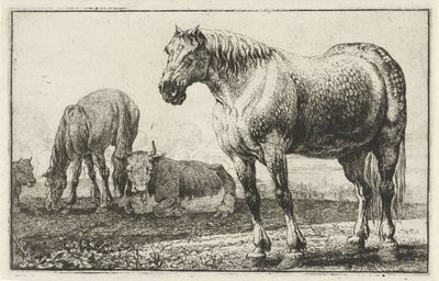 Paarden en koeien door Jan van den Hecke