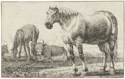 Paarden en koeien door Jan van den Hecke
