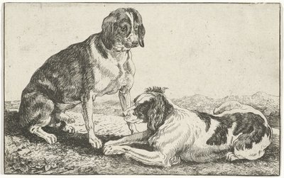 Twee rustende honden door Jan van den Hecke
