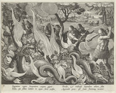 Slangen vangen in India met knuppels en fakkels om het struikgewas te verlichten, plaat 44 uit Venationes Ferarum, Avium, Piscium (Over de jacht: wilde dieren, vogels, vissen) uitgegeven 1640 door Jan van der 1523 1605 Straet