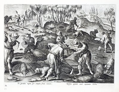 Het uitgraven en vangen van stekelvarkens, plaat 54, illustratie uit 