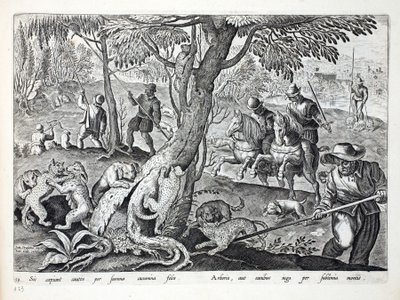 Jacht op katten met honden, illustratie uit 