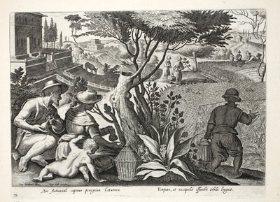 Jacht op Kwartels, illustratie uit 