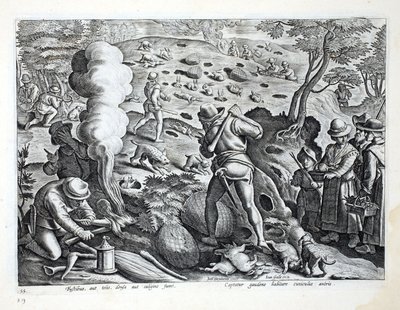 Jagen op konijnen, illustratie uit 