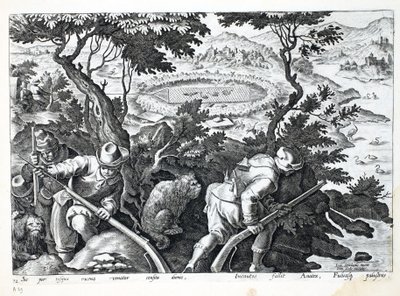 Eendenjacht, illustratie uit 