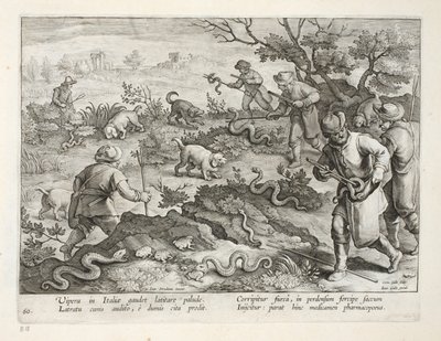 Italiaanse adders die padden eten, plaat 60, illustratie uit 