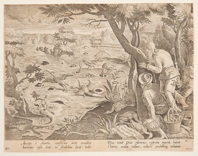 Kraanvogeljacht met kegels, plaat 28 in de Venationes Ferarum, Avium, Piscium serie door Jan van der Straet, called Stradanus