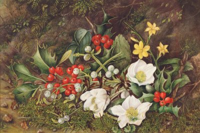 Hulst en Kerstroosjes door Jane Taylor