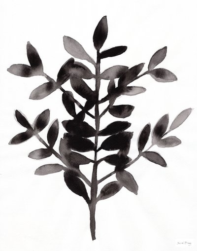 Botanisch met Nagi Fern III (inkt op papier) door Janel Bragg