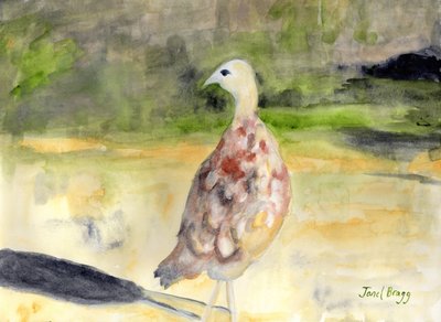 Vrouwelijke Fazant, c.2016 door Janel Bragg