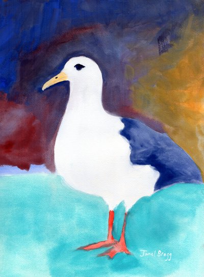 Meeuw uit Anacortes no. I, c.2016 door Janel Bragg