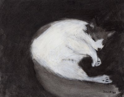 Thomas doet een dutje, c. 2018 (houtskool en pastel op papier) door Janel Bragg
