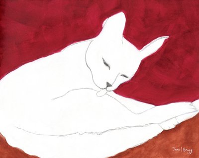 Witte Kat met Kastanjebruin en Roos door Janel Bragg