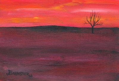  door Janine Brewster