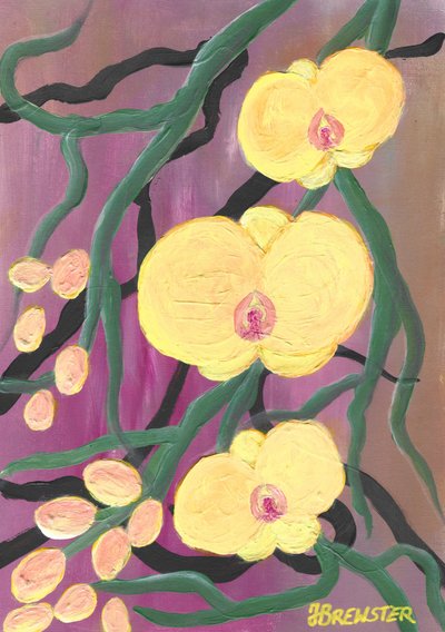  door Janine Brewster
