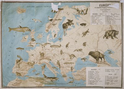Kaart van dieren in Europa door Janos Balint