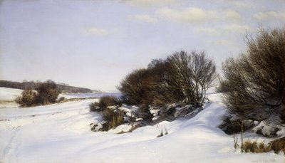 Winter bij de Zee, 1888 door Janus La Cour